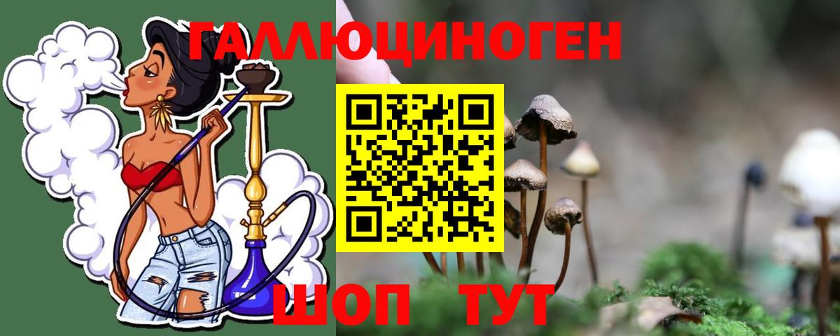 Псилоцибиновые грибы Magic Shrooms  Вход с VPN  Псилоцибиновые грибы MAGIC MUSHROOMS  Чернушка 